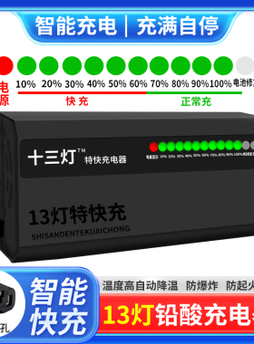 电动车电瓶充电器48V12AH60V20安72V32爱玛雅迪台铃小刀铅酸通用