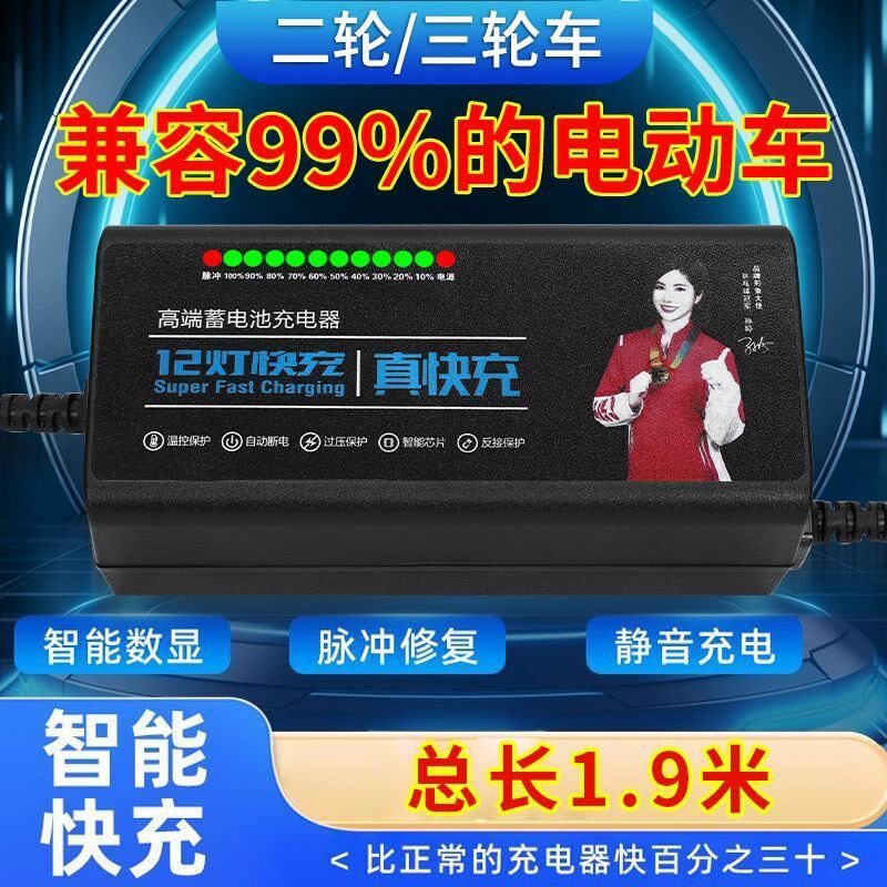 电动车电瓶充电器48V12AH60V20安72V32爱玛雅迪台铃小刀铅酸通用