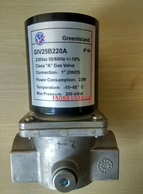 原装正品Greenlsland燃气电磁阀GIV25B220A 烧嘴燃气电磁阀DN25
