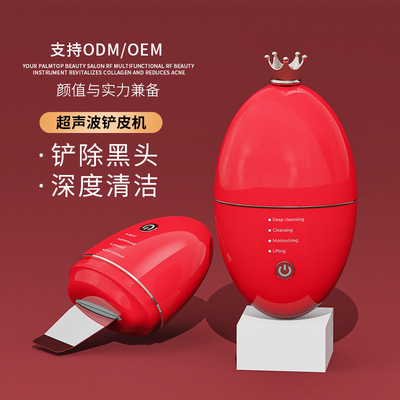 跨境礼品美容仪铲皮机家