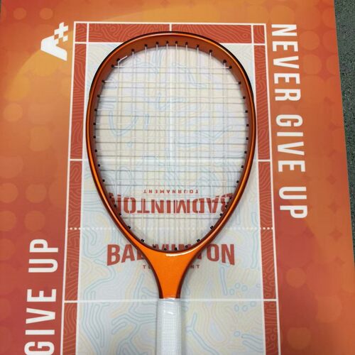 Typti Racket球拍工厂支持定，制全碳素变色龙2026年新类目球拍