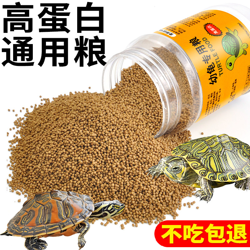 龟苗开口粮幼龟龟粮小乌龟专用粮食物小龟甲鱼巴西龟草龟通用饲料,宠物/宠物食品及用品,观赏龟/鳖饲料,淘宝优惠券,粉丝福利购,淘宝优惠卷