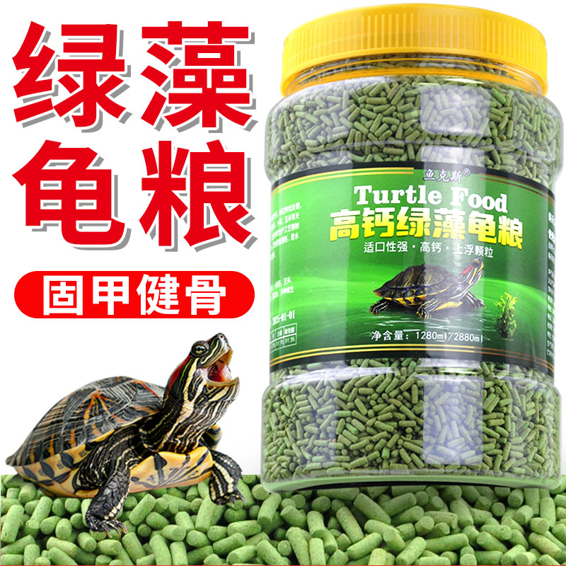 黄缘龟安缘台缘大陆缘杂交缘龟粮