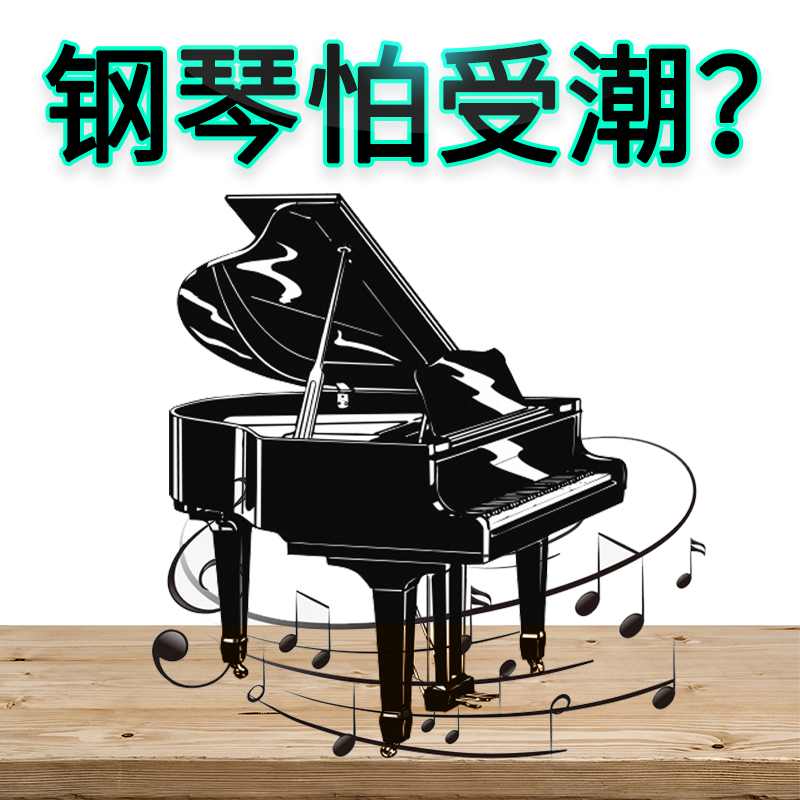 吉他乐器专用防虫变色去湿干燥剂