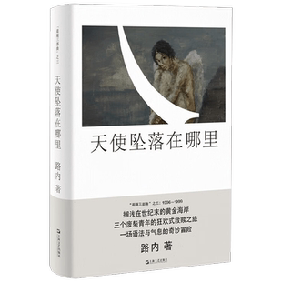 天使坠落在哪里 路内追随系列 路内 著 小说