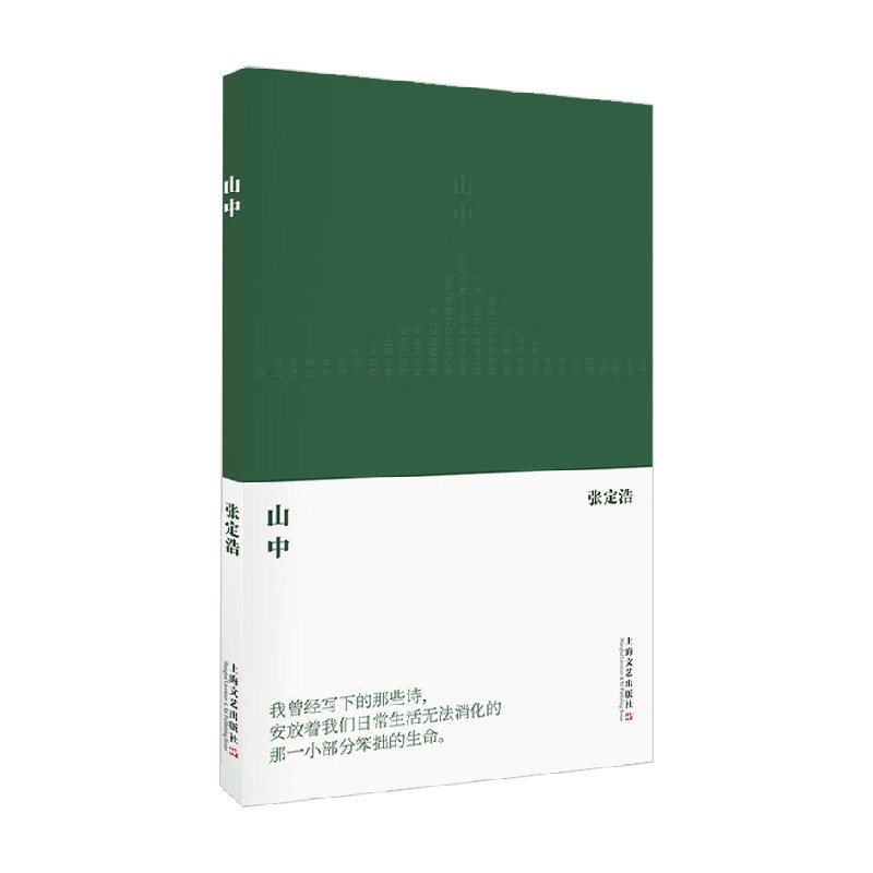 山中 艺文志 诗 张定浩 著 文学 书籍/杂志/报纸 文学理论/文学评论与研究 原图主图