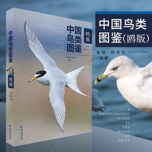 中国鸟类图鉴鸥版章麟