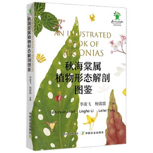 秋海棠属植物形态解剖图鉴 李凌飞等 编著 生物世界