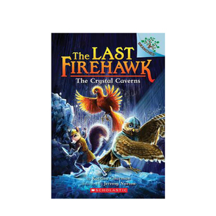 Firehawk水晶洞穴 英文原版 The Crystal 章节书 8岁 分级阅读 桥梁书 火鹰传奇 Caverns Last