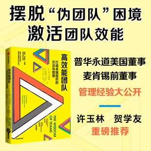 高效能团队 打造卓越组织的方法与智慧 乔恩·R.卡岑巴赫 著 激活团队效能 释放组织中团队潜力的实践指南 管理