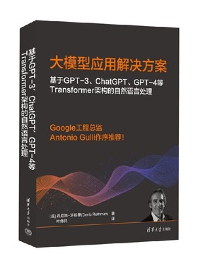 基于GPT-3 ChatGPT GPT-4等Transformer架构的自然语言处理 丹尼斯·罗斯曼 著 计算机与互联网