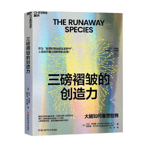 三磅褶皱的创造力励志