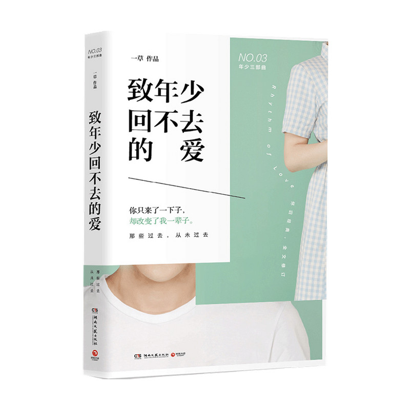 致年少回不去的爱 一草 著 青春文学爱情情感书籍