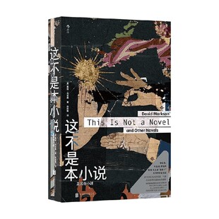 这不是本小说 及其他小说 戴维·马克森 著 小说