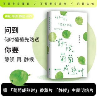 静候葡萄成熟时 汪曾祺 著 散文 治愈焦虑 师从沈从文 诗意 经典散文 人间草木昆明的雨端午的鸭蛋 诗歌文艺