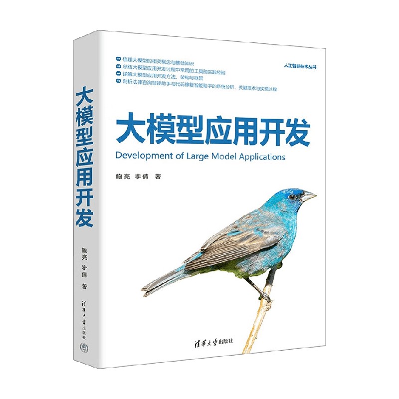 大模型应用开发计算机与互联网