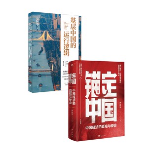 锚定中国 基层中国的运行逻辑 聂辉华 著 经济预售