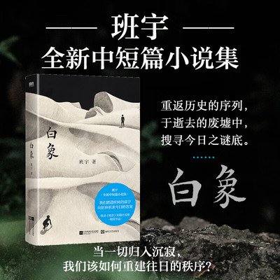 白象班宇中国当代小说