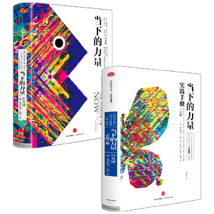 当下的力量 白金版 +当下的力量实践手册 白金版 埃克哈特·托利 著 经济