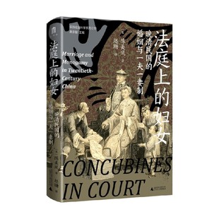 晚清民国 妇女 婚姻与一夫一妻制 陈美凤 历史 实践社会科学系列 著 法庭上