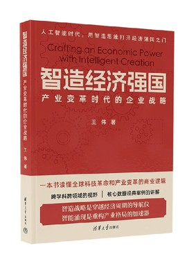 智造经济强国 产业变革时代的企业战略 王伟 著 经济