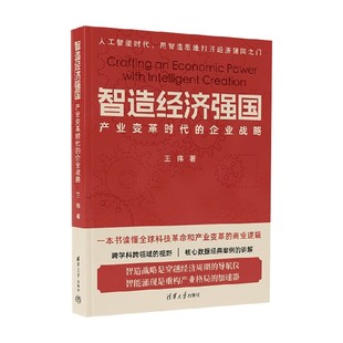 智造经济强国 产业变革时代的企业战略 王伟 著 经济