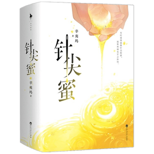 【赠海报+立卡+行话手册】针尖蜜 辛夷坞 著 中国青春文学小说 现代言情 致我们终将逝去的青春