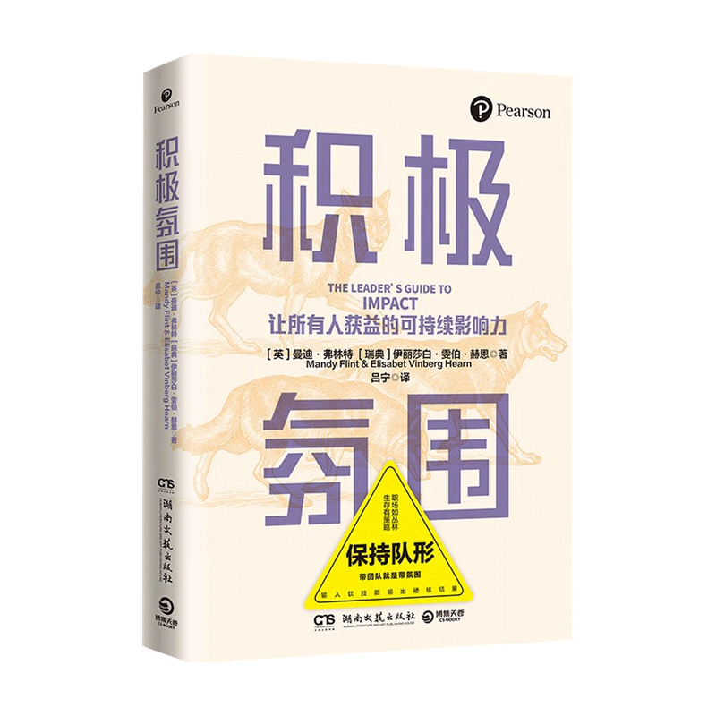 积极氛围  曼迪·弗林特 著 管理