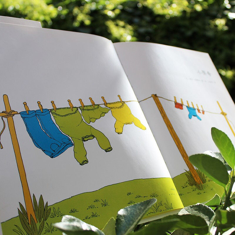 小蒂奇 佩特·哈群斯 著 儿童绘本