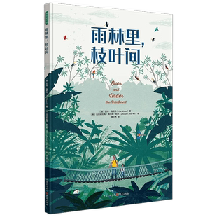 雨林里 枝叶间 3-6岁 凯特·梅斯纳 著 揭秘树冠之上的神奇世界 让孩子从雨林的勃勃生机中涉取向上的生命力量 儿童绘本