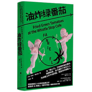 油炸绿番茄 范妮·弗拉格 著 小说