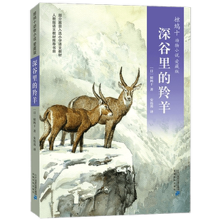 椋鸠十动物小说 爱藏本05 深谷里的羚羊 11-14岁 椋鸠十 著 儿童文学