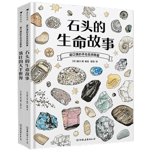 盛口满的手绘自然图鉴 石头的生命故事 落叶的大千世界 盛口满 著 科普百科