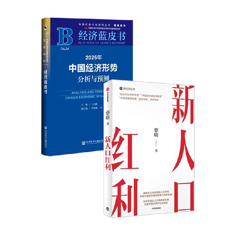 新人口红利+中国经济蓝皮书2025 王昌林 等 著 经济
