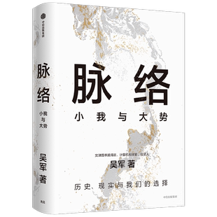 脉络 小我与大势 吴军博士对重要问题的思考 所有作品思想来源 现实与我们的选择 见识态度格局富足作者  成功励志人生哲学