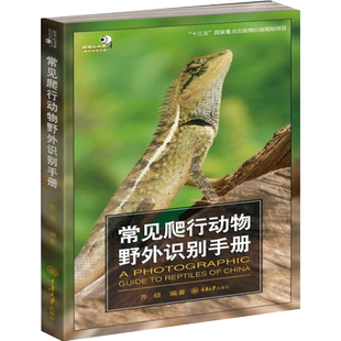 常见爬行动物野外识别手册 齐硕 著 爬行动物知识书 爬行动物特征参考图 自然科学科普百科书籍