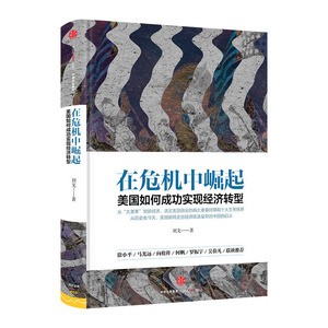 【中信书店 正版书籍】在危机中崛起 刘戈 世界经济中信出版