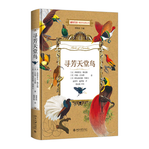【中信书店 正版书籍】寻芳天堂鸟 艺术