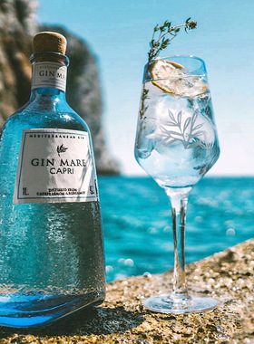 西班牙琴海马尔地中海卡普里金酒MARE CAPR GINI珍正地中海风味