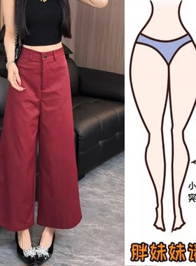 酒红色西装休闲裤女夏季爆款大码