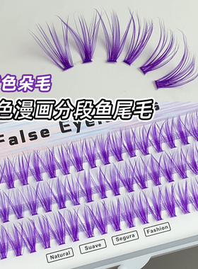 紫色朵毛分段鱼尾嫁接睫毛