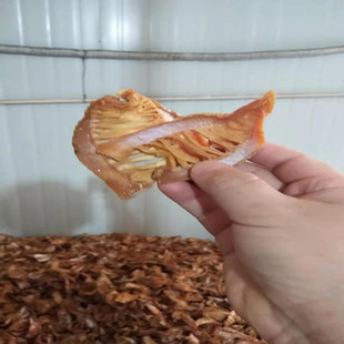 福建笋干笋尖干货 玉兰片毛竹笋楼梯笋 农家特产无熏硫磺500g包邮