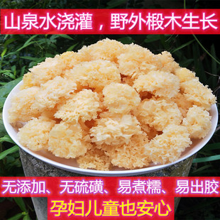 福建古田特产椴木小银耳新鲜干货无硫雪耳糯耳丑耳莲子羹出胶包邮