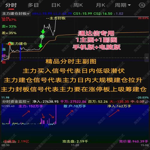 股票分时图主力大单资金监控指标