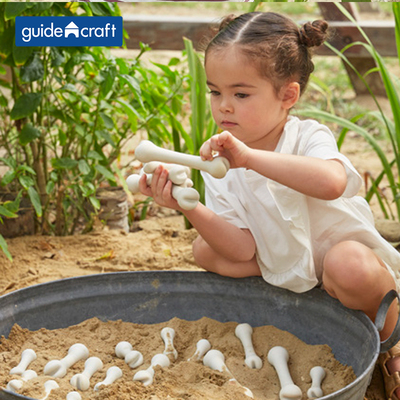 guidecraft大骨头套装20件玩具