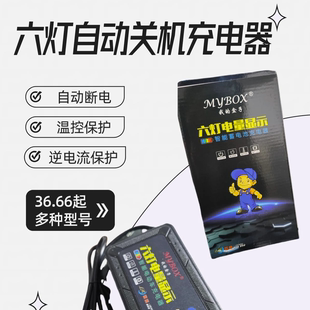 通用款 48V20A大电流雅迪爱玛小刀铅酸通用 电动车充电器