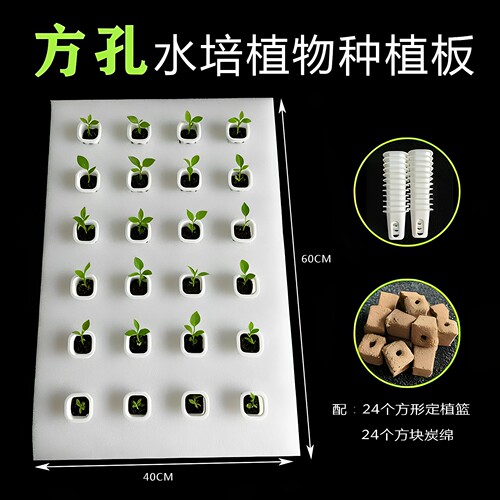 漂浮板水培种菜配套定植篮海绵