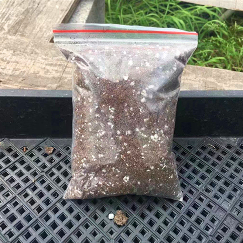 多肉植物绿种植土自配营养混合土育苗丹麦土珍珠岩蛭石椰糠有机肥,鲜花速递/花卉仿真/绿植园艺,介质/营养土,淘宝优惠券,粉丝福利购,淘宝优惠卷
