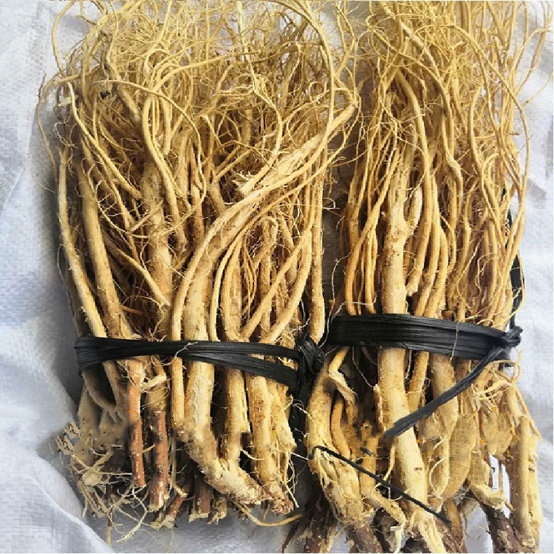 福建武平石参根 虎尾轮 狗尾草 九尾草 煲汤料 500g包邮 热销