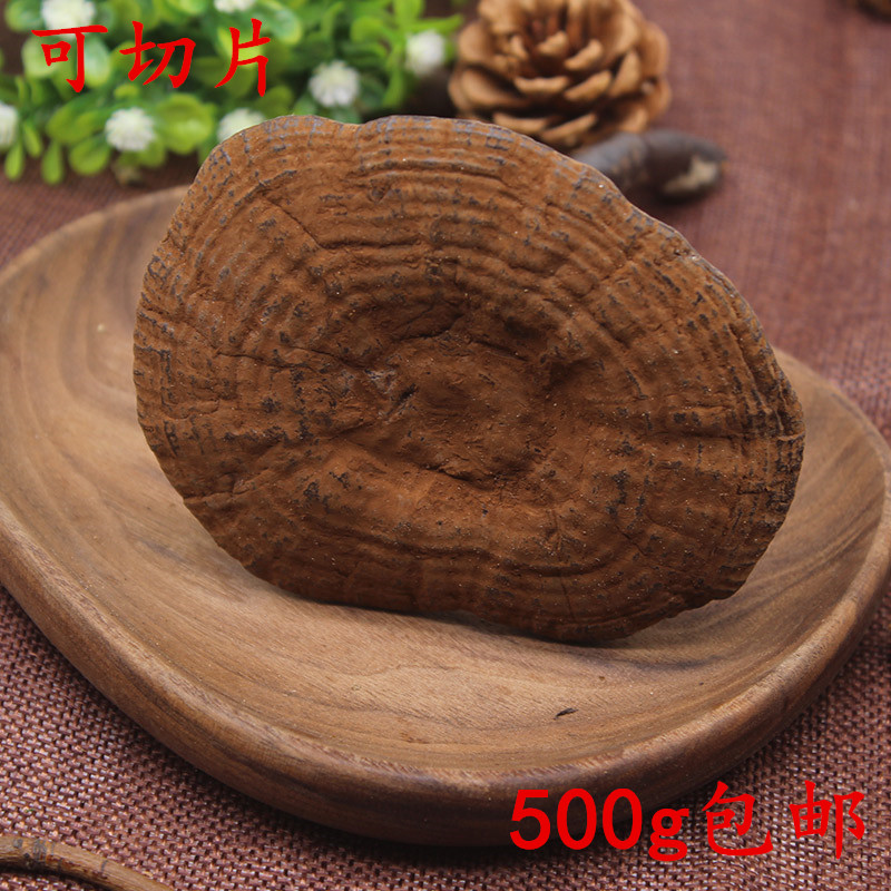 半野生灵芝深山种植采摘野生灵芝灵芝整枝500g面带孢粉可切片包邮